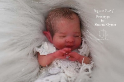 【リボーンドール】 Wynter Fairy Baby Wynter Fairy by Shawna Clymer